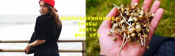 эйфоретик Алексеевка