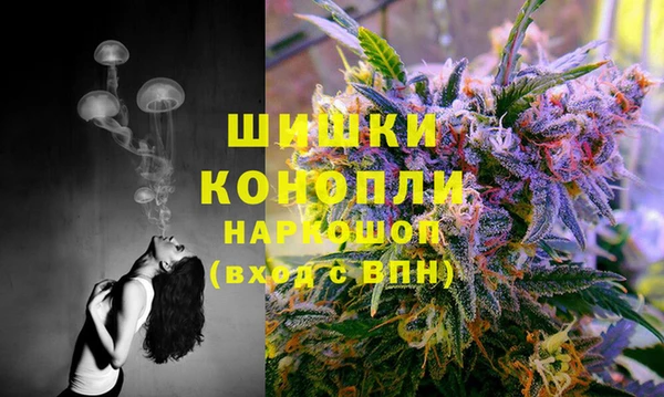 a pvp Осинники