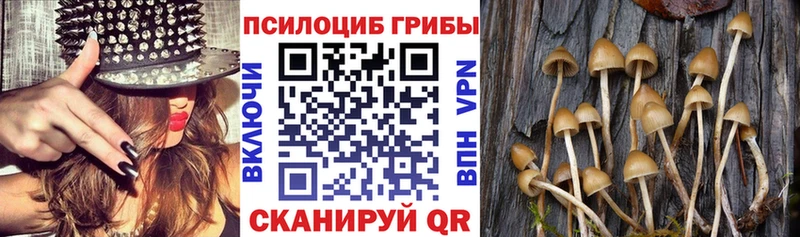 Псилоцибиновые грибы Magic Shrooms Оленегорск